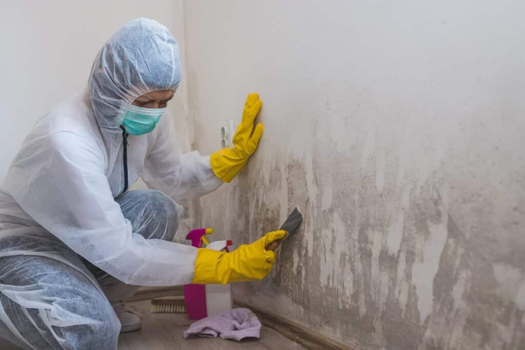 worker removes mold from wall