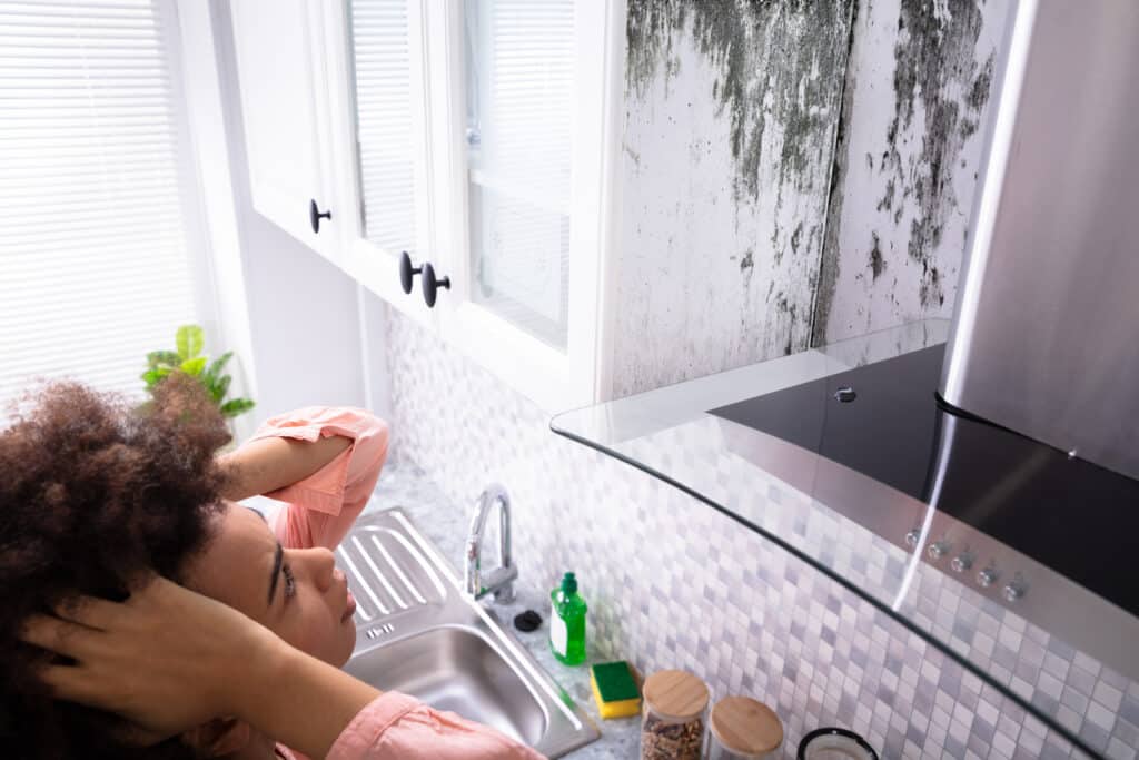 Woman Looking At Mold On Wall
