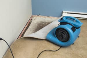 Water damaged walls and floors
