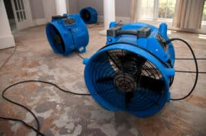 sewage water damage recovery